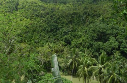 Loboc Hotel | Nuts Huts