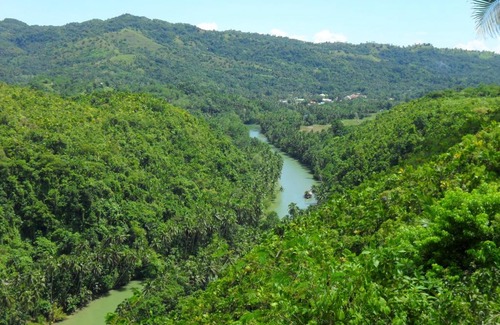 Loboc Hotel | Nuts Huts