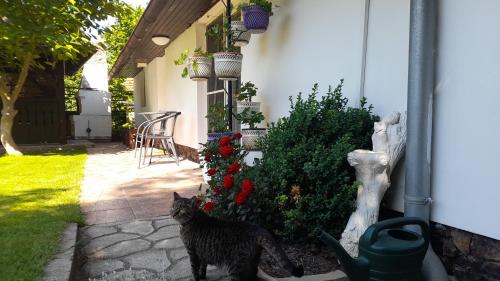 Brezova-Olesko House | Oáza klidu v Březové