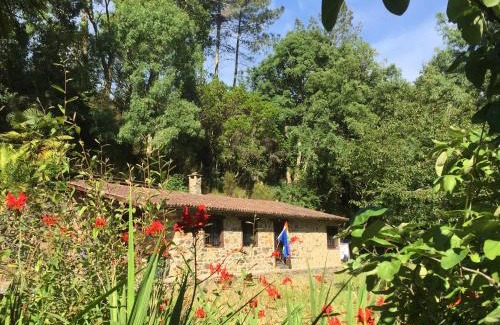 Rielo House | O Muíño da Balsiña