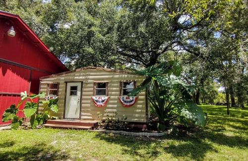 Morriston Cabin | Oak Flats Farm - Pet Friendly - Star Link - Outdoor Shower