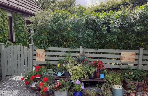 Saint Ann's Chapel Apartment | Oakey Orchard - cosy apartment in Tamar Valley, Cornwall