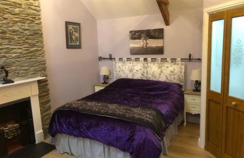 Newcastle Emlyn House | Oakley Bed & Breakfast - Vegetarian, Vegan