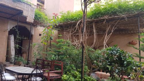 Tiout House | Oasis de Tiout
