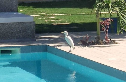 Ngaring Villa | Oasis of serenity - Large 5-bedroom villa with swimming pool