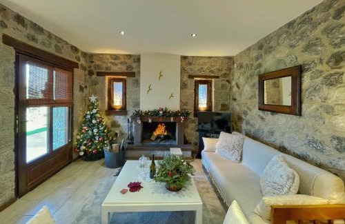 Polidrosos Apartment | Ocazzia of Parnassos