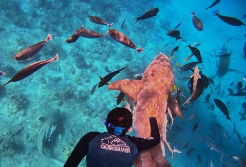 Kudahuvadhoo House | Oceana Inn Hotel Maldives - Snorkeling, Sandbank & Surfing Adventures in Kudahuvadhoo Island