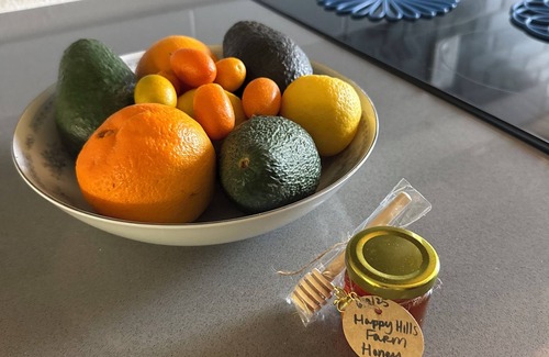 Bonsall House | Oceanside-Bonsall Treehouse Studio - Seren Farmstay Getaway, with Cozy Balcony