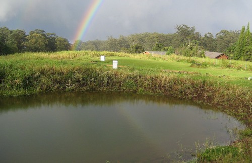 Honokaa Cottage | Off the beaten path, 20 minutes from Waipio Valley