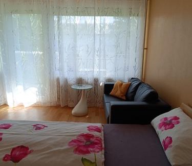Offenburg Apartment | Offenburg Apartment