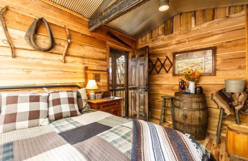 Lynx Other | Ohio Starlight Glamping Cabins - A Peaceful Woodland Retreat
