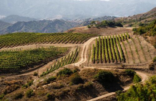 Ojai Villa | Oja Mountain Ridge