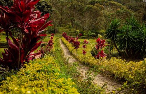 Andasibe Hotel | Oka Forest Lodge Andasibe