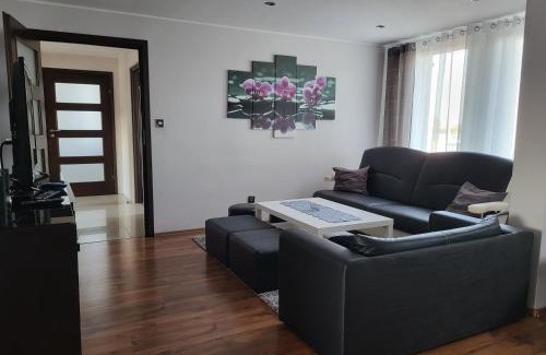 Orunia-St. Wojciech-Lipka Apartment | Olaf Apart