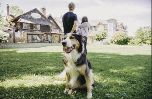 Courtenay Hotel | Old House Hotel