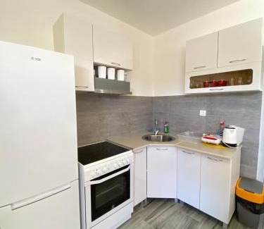 Radanovici Apartment | OLGA APARTMENT