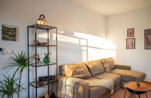 Hvar House | Olive house Rezo