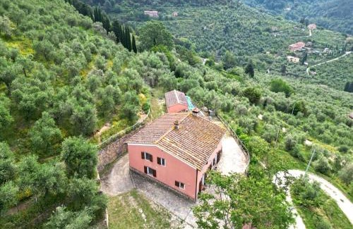 Calci House | Olive House Tuscany - Zona Pisa