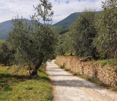 Calci House | Olive House Tuscany - Zona Pisa