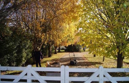 Temuka Bed & Breakfast | Oliver's Farmstay