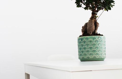 Pyrgos Apartment | Olosuites