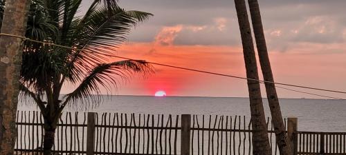 Hikkaduwa Villa | Olu Beach Villa
