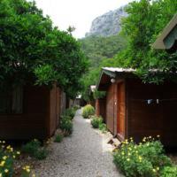 Olympos Cabin | Olympos Doga Pansiyon