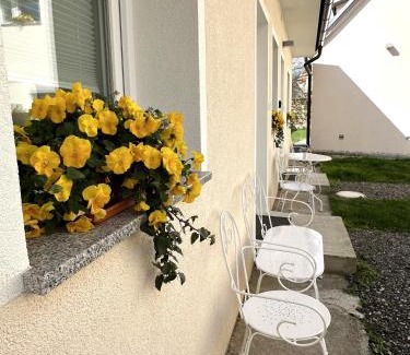 Slovenska Bistrica House | OM Yoga center