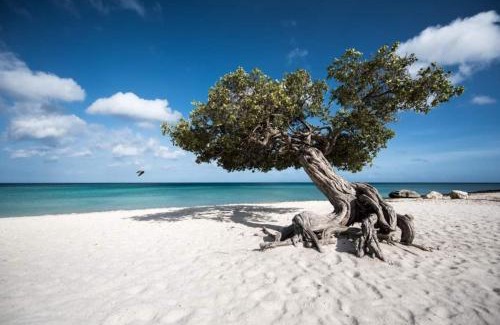 Macuarima Apartment | One Happy Stay Santa Cruz - Casita