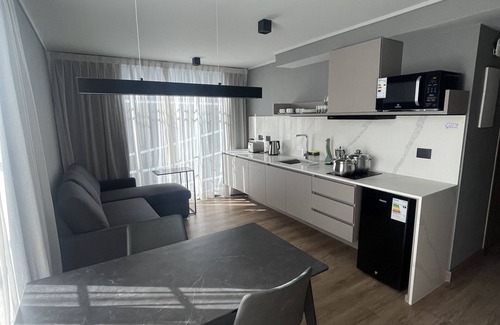 Apoquindo Apartment | ONE MANQUEHUE