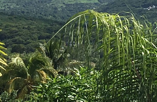 Old Towne Villa | "One of the BEST villas on Montserrat"