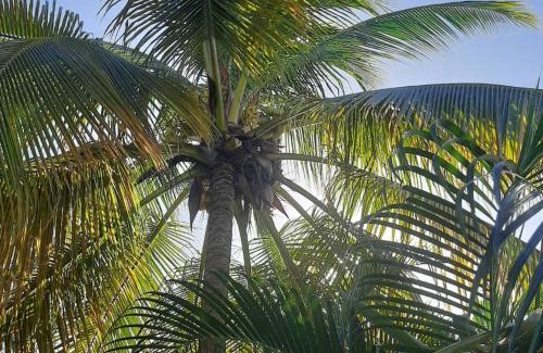 Scarborough House | onelovecottagetobago holiday home