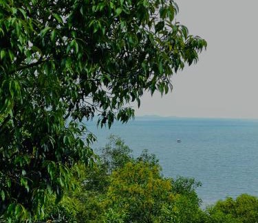 Ham Ninh Apartment | Ong Huong House Can 2