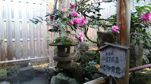 Yudanaka Shibu Onsen Hotel | Onyado Hishiya Torazo