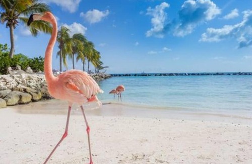 Pos Chiquito Apartment | Opa sml Cute beach apartment