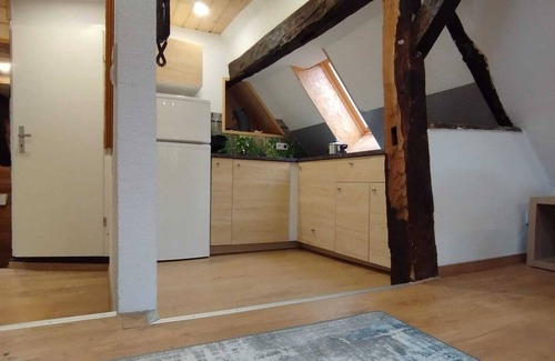 Alsfeld Apartment | Open loft apartment/parking space