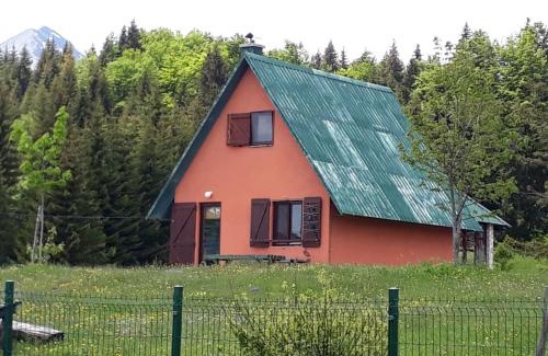 Razvrsje House | Orange House in nature