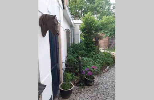 Paterswolde Apartment | Oranjerie, 7 km onder Groningen