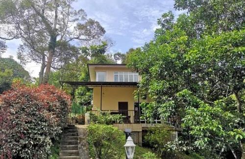 Janda Baik House | Orchard Villa, Radiant Janda Baik
