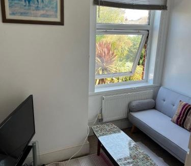Southsea House | Orchid House