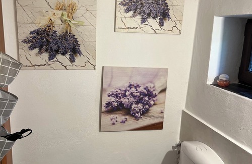 Castellero Apartment | Orchid Private Room with private bathroom