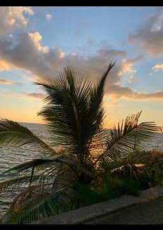 Anse La Mouche House | Orchid Sunset Guest House