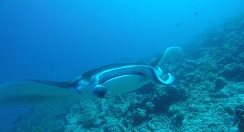 Himandhoo Bed & Breakfast | Origami Inn Himandhoo