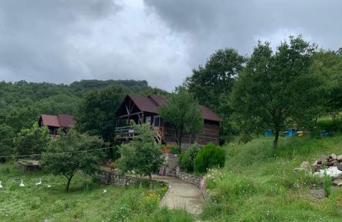 Albania Ski Chalet | Origjina Farm