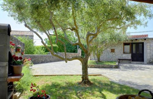 Orihi House | Orihi in Orihi (Haus für 2-4 Personen)
