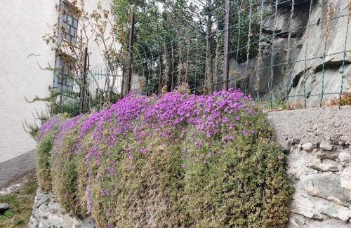 Ormea House | Ormea nel cuore