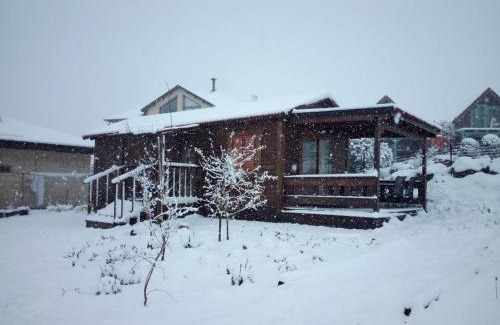 Kela Alon Ski Chalet | Orr Halevana