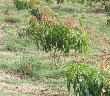 Welikanda House | OSHKI Farm and Holiday Resort
