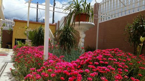 Cilaos Hotel | Otroiza Hotel