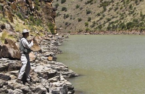 Kopanong Cabin | Otterskloof Private Game Reserve